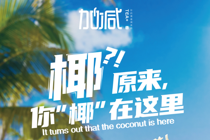 尊龙凯时椰子系列新品火爆上市